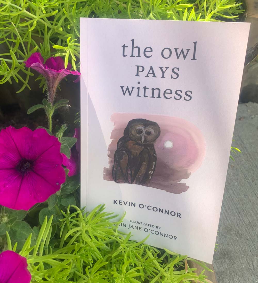 The Owl Pays Witness